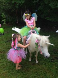 Painted Pony Rides