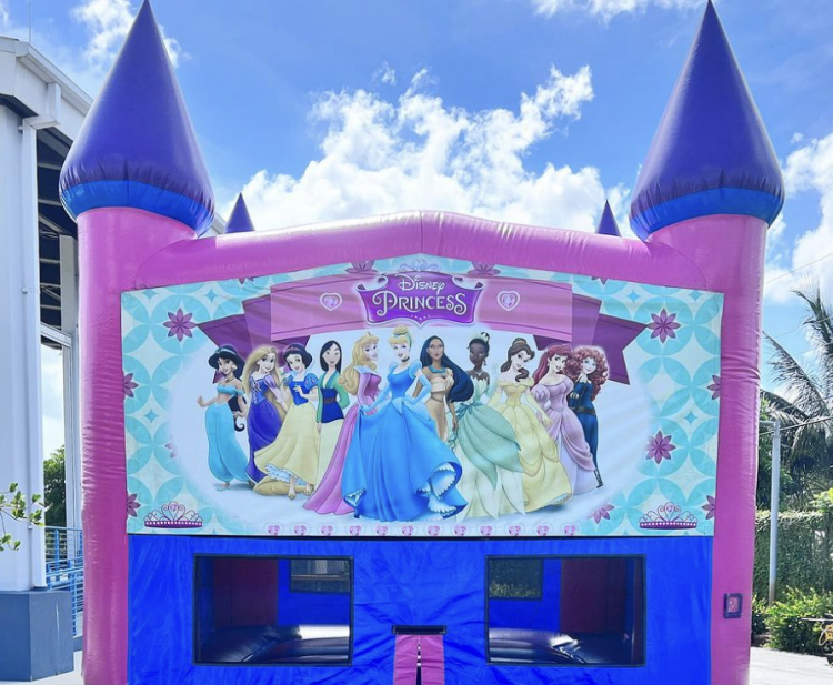 Princess Banner for Bounce House