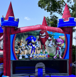 Sonic Banner for Bounce House