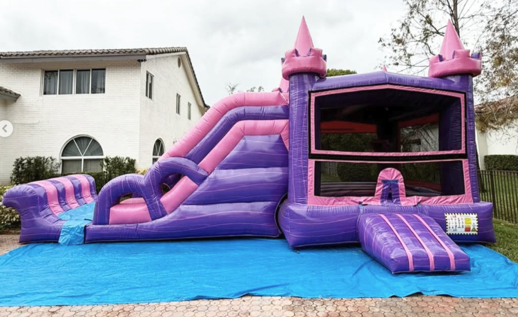 27 FT Pink and Purple Castle 4 in 1 doble lane