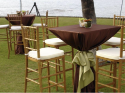 Chiavari Barstools
